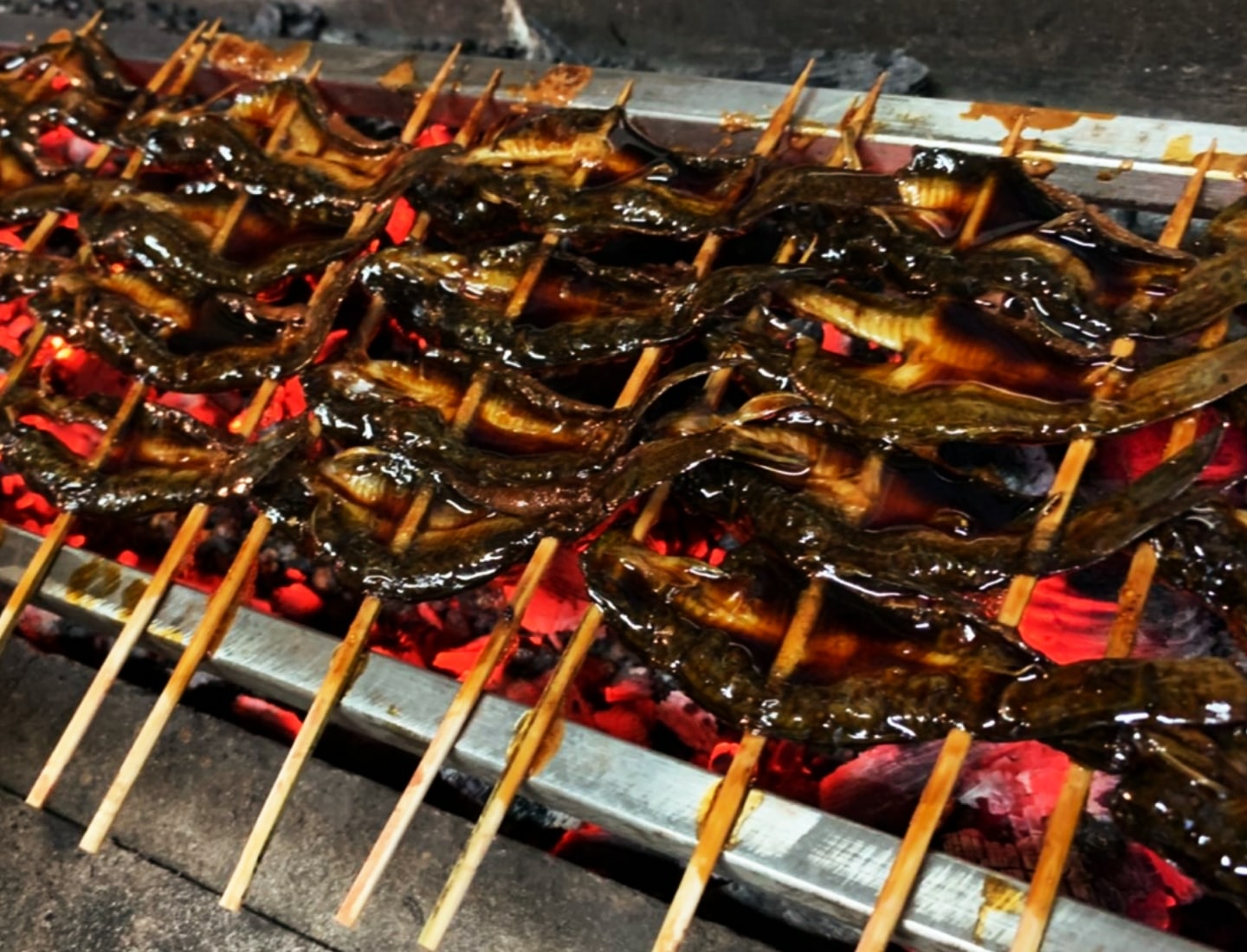 どじょう蒲焼きの写真